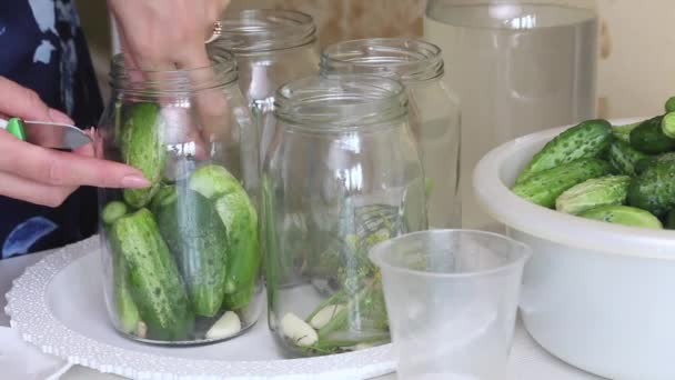 A woman puts cucumbers in pickling jars. There are cucumbers nearby in a basin. Harvest conservation. Close-up shot — Stock Video