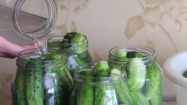 Oogstbewaring. Een vrouw giet marinade over komkommers in bekerpotten. Close-up opname.. — Stockvideo