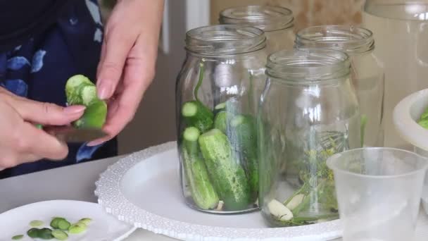 A woman puts cucumbers in pickling jars. There are cucumbers nearby in a basin. Harvest conservation. Close-up shot. — Stock Video