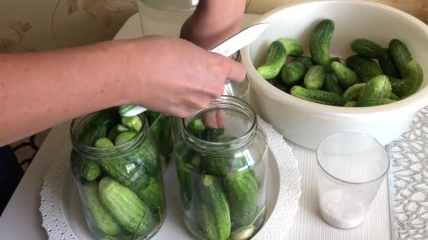 A woman puts cucumbers in pickling jars. There are cucumbers nearby in a basin. Close-up shot — Stock Video