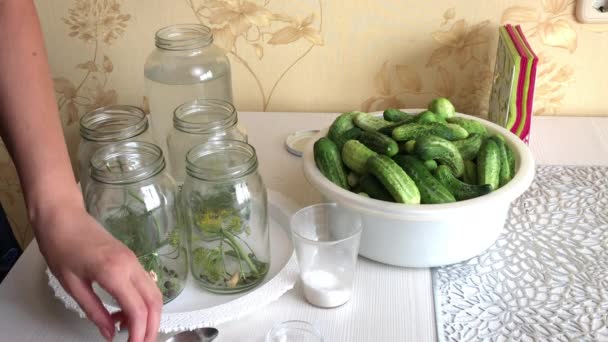 Een vrouw voegt knoflook toe aan komkommer augurken potten. Vlakbij in een bassin zijn komkommers, in containers van kruiden voor het koken. — Stockvideo