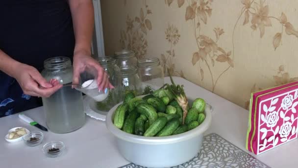 De vrouw giet zout in het water en mengt het. Bereid marinade voor het beitsen van komkommers. Vlakbij in een bassin zijn komkommers, in containers van kruiden voor het koken. — Stockvideo