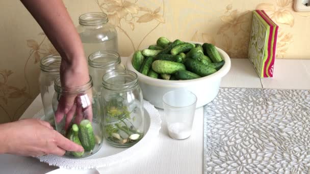 Een vrouw voegt komkommers toe aan komkommer augurken potten. Vlakbij in een bassin zijn komkommers, in containers van kruiden voor het koken. — Stockvideo