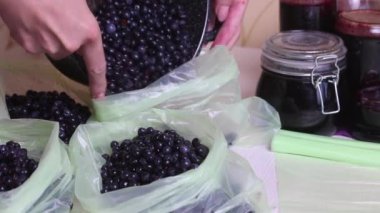 Bir kadın dondurucuya yaban mersini koyar. Yakınlardaki kavanozlarda taze yapılmış yaban mersini reçeli. Yabanmersinlerinin korunması ve hazırlanması. Yakın çekim.