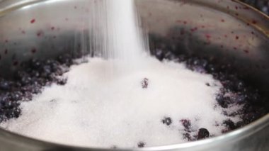 Bir kadın yabanmersinli konteynıra şeker döker. Evde yabanmersini reçeli yapıyorum. Yabanmersinlerinin korunması ve hazırlanması. Yakın çekim..