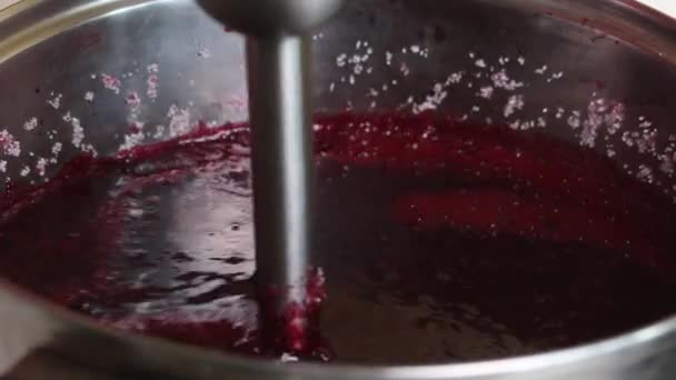 A woman uses a blender to puree blueberries and sugar. Making blueberry jam at home. Preservation and preparation of blueberries. Close-up shot — Stock Video