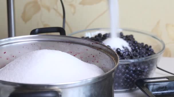 En kvinna häller socker i en behållare med blåbär. Göra blåbärssylt hemma. Bevarande och beredning av blåbär. Närbild.. — Stockvideo