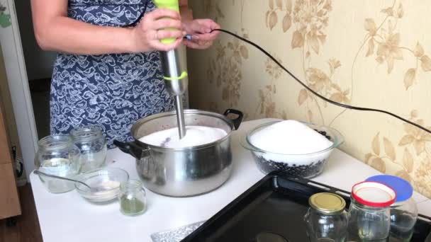 Женщина использует блендер для пюре с черникой и сахаром. Готовлю черничное варенье дома. Сохранение и приготовление голубики. — стоковое видео