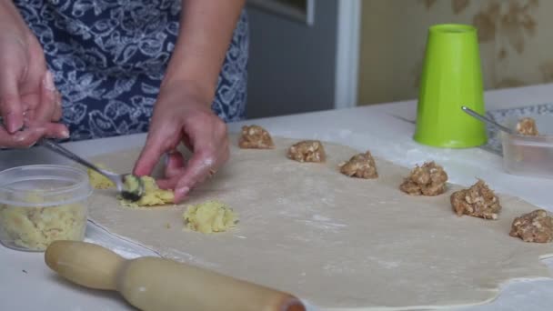 Una donna mette carne macinata e purè di patate sulla pasta arrotolata. Gnocchi di cottura con patate e carne macinata. — Video Stock