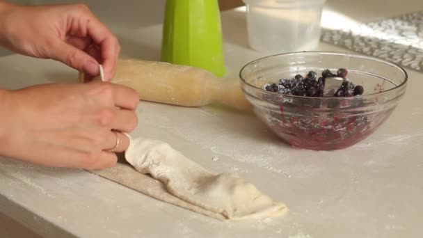 A woman prepares dumplings with blueberries. Covers the berries with dough. Close-up shot. — Stock Video