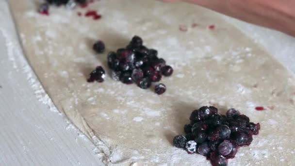 En kvinna lägger blåbär på den rullade degen. Dumplingar för matlagning — Stockvideo