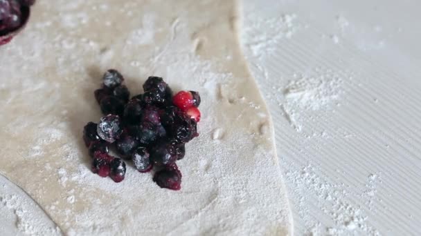 A woman puts blueberries on the rolled dough. Cooking dumplings. — Stock Video