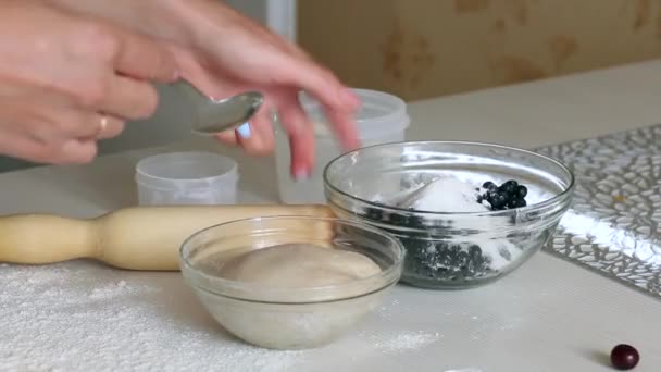 女性はブルーベリーと澱粉を混ぜる。生地と容器の横に.餃子の調理. — ストック動画