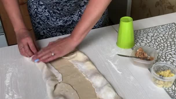 La mujer envuelve el relleno en la masa enrollada. Prepara albóndigas con puré de papas y carne picada. — Vídeo de stock