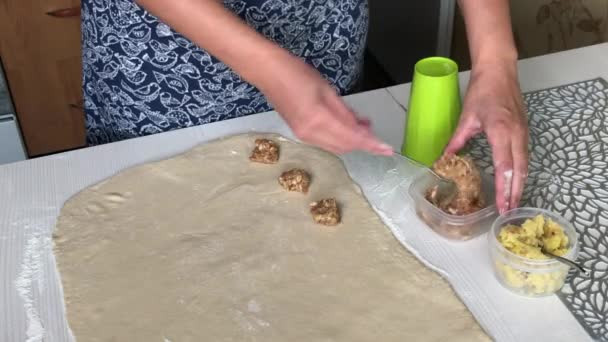 Жінка кладе фарш на прокажене тісто. Приготування пельменів, фаршированих картопляним пюре та фаршем . — стокове відео