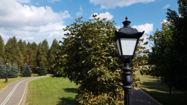 Parkta bir bisiklet yolu. Ağaçların ve çalıların arasındaki rüzgarlar. Hava fotoğrafçılığı.