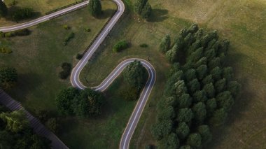Parkta bir bisiklet yolu. Ağaçların ve çalıların arasındaki rüzgarlar. Hava fotoğrafçılığı.