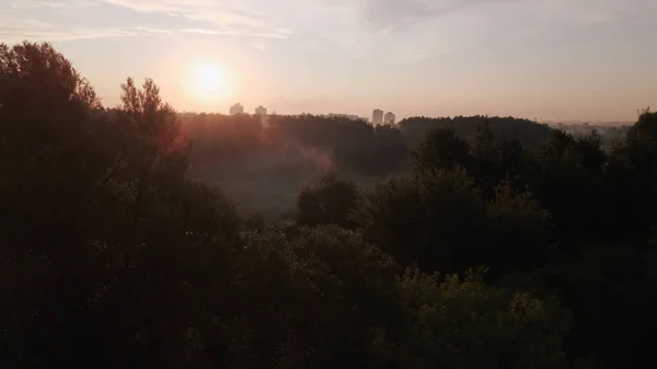 Parque Ciudad Río Fluye Disparo Amanecer Amanecer Fotografía Aérea — Foto de Stock