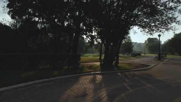 Parkta Bir Bisiklet Yolu Ağaçların Çalıların Arasından Esiyor Şafakta Gün — Stok video