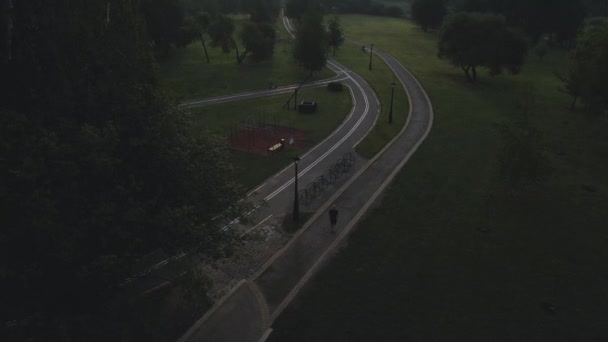 Caminho Sinuoso Bicicleta Parque Ventos Através Das Árvores Arbustos Filmado — Vídeo de Stock