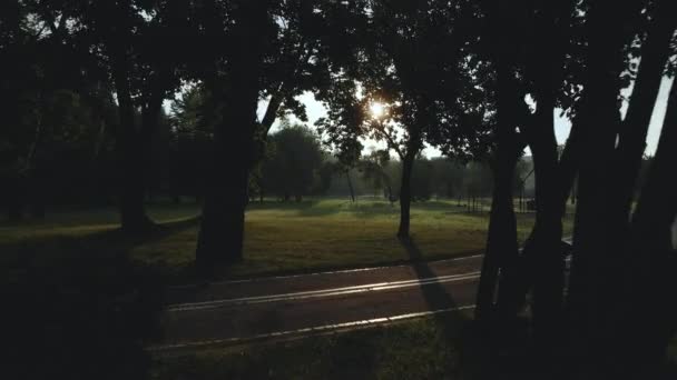 Caminho Sinuoso Bicicleta Parque Ventos Através Das Árvores Arbustos Filmado — Vídeo de Stock