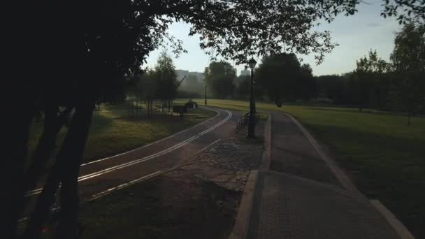 Caminho Sinuoso Bicicleta Parque Ventos Através Das Árvores Arbustos Filmado — Vídeo de Stock