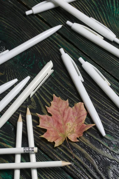 Juego Lápices Blancos Bolígrafos Para Escuela Acuestan Tablas Pino Hojas — Foto de Stock