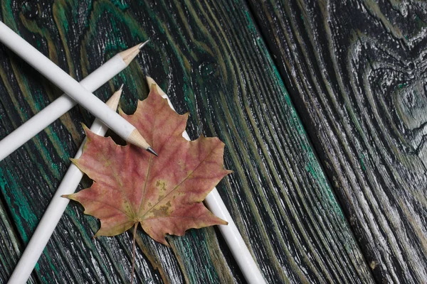 A set of white pencils for school. They lie on pine boards. Nearby autumn maple leaves.