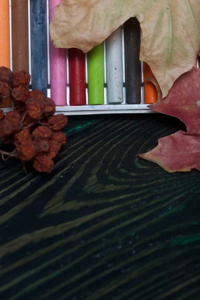 A set of pastels crayons for school. They lie in a box on pine boards. Nearby autumn maple leaves.