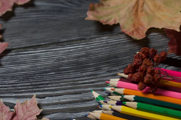 Ένα Σετ Χρωματιστά Μολύβια Για Σχολείο Ξαπλώνουν Πεύκα Κοντά Είναι — Φωτογραφία Αρχείου