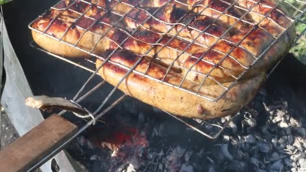烤架上有烤香肠 在炭烤架上在绿草丛中的草地上野餐 特写镜头 — 图库视频影像