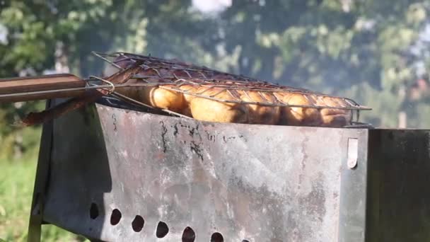 烤架上有烤香肠 用煤块在烤架上烤 在绿草丛中的草地上野餐 特写镜头 — 图库视频影像