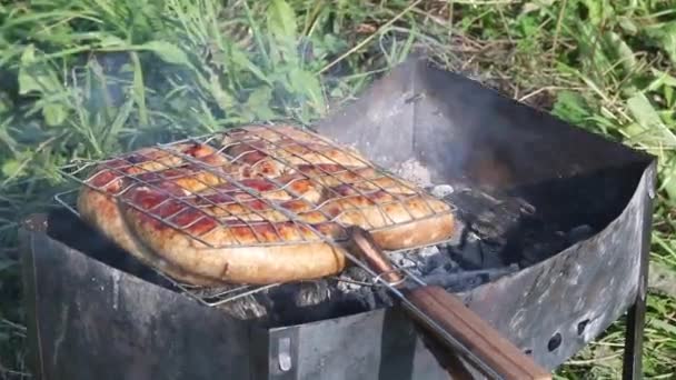 Grilovaný Stojan Klobásami Leží Grilu Uhlím Louce Mezi Zelenou Trávou — Stock video