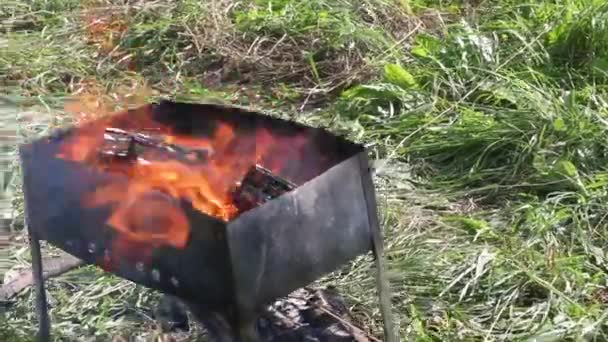 Yanan Odunla Daha Brezilyalı Yeşil Çimlerin Arasındaki Bir Çayırda Duruyor — Stok video