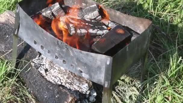 Brasilianer Mit Brennendem Holz Steht Auf Einer Wiese Inmitten Des — Stockvideo