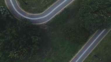 Şehir parkında uçuş. Aşağıda virajlı bisiklet yolu görülebilir. Güçlü bir rüzgar ağaçları sallıyor. Hava fotoğrafçılığı.