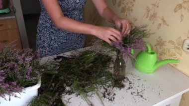 Kadın, orman fundalarının dallarını ayırıyor. Onları bir bukete koyup vazoya koyuyor.