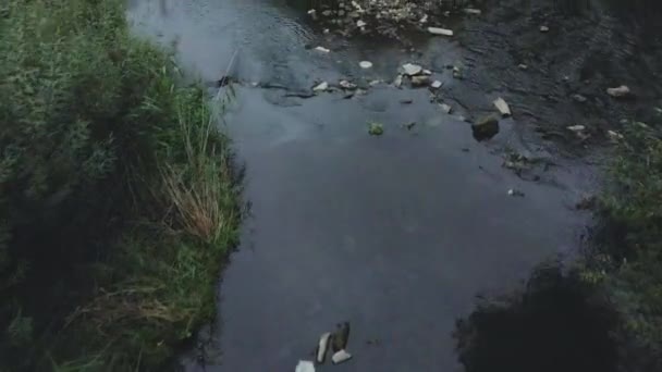 コンクリート製の下水道を飛び越える コンクリートパイプを流れる水の流れ 公園内の水の汚染された体 空中写真 — ストック動画