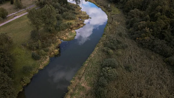 Park Area Winding River Water Lilies Swampy Area Aerial Photography — Stock Photo, Image