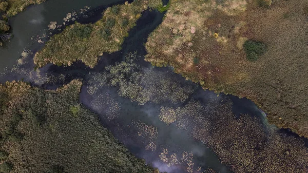 Park Gebied Een Kronkelende Rivier Met Waterlelies Moerasgebied Luchtfotografie — Stockfoto