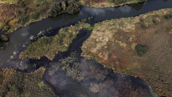 公園エリア 睡蓮のある曲がりくねった川 湿地帯だ 空中写真 — ストック写真
