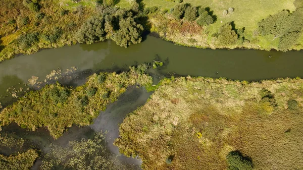 Park Gebied Een Kronkelende Rivier Met Waterlelies Moerasgebied Luchtfotografie — Stockfoto