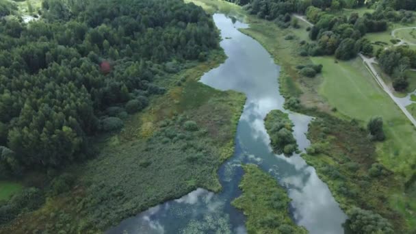 Dans Parc Une Rivière Sinueuse Avec Des Nénuphars Zone Marécageuse — Video