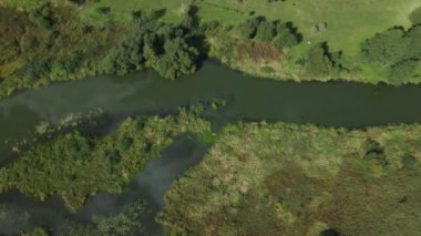 Park alanı. Nilüferlerle dolu dolambaçlı bir nehir. Bataklık bölgesi. Hava fotoğrafçılığı.