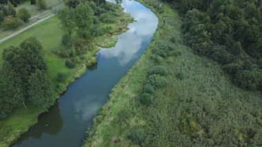 Park alanı. Nilüferlerle dolu dolambaçlı bir nehir. Bataklık bölgesi. Hava fotoğrafçılığı.