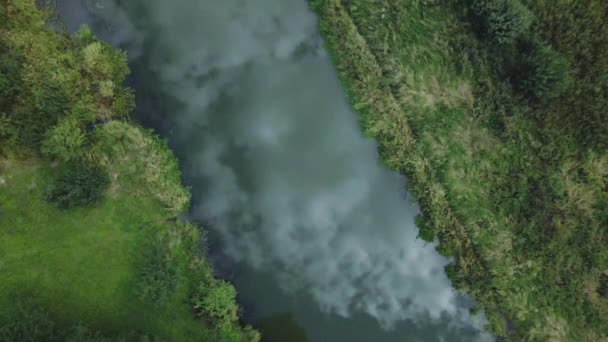 Parkfläche Ein Gewundener Fluss Mit Seerosen Sumpfgebiet Luftaufnahmen — Stockvideo