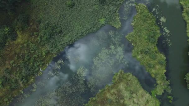Park Gebied Een Kronkelende Rivier Met Waterlelies Moerasgebied Luchtfotografie — Stockvideo