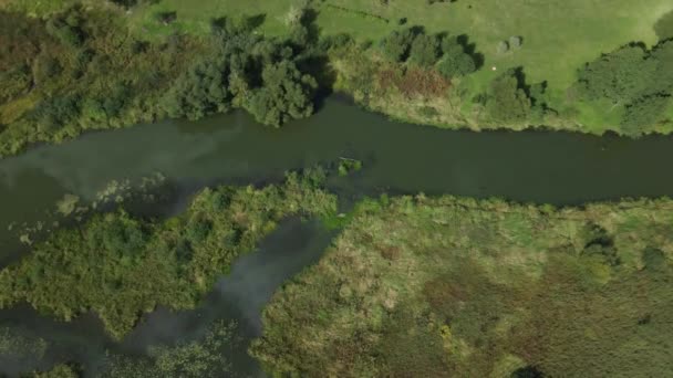停车区一条弯弯曲曲的河 上面撒满了睡莲 斯瓦茨地区 空中摄影 — 图库视频影像