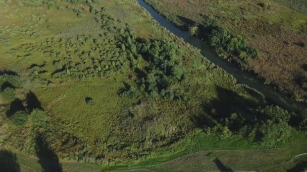 Passarelas Área Parque Fotografia Aérea — Vídeo de Stock