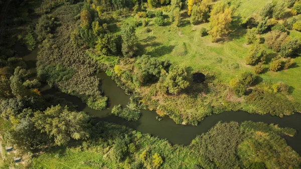 Área Parque Rio Sinuoso Com Lírios Água Área Pantanosa Fotografia — Fotografia de Stock